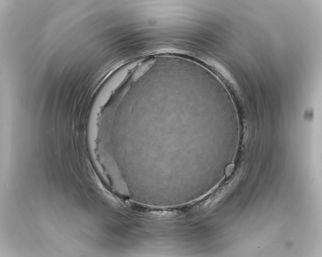 X0000093130793200710241321