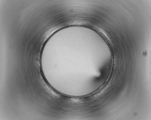 X0000093130794200710241321