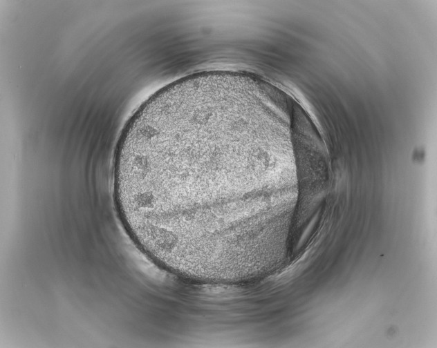 X0000093130795200710241321
