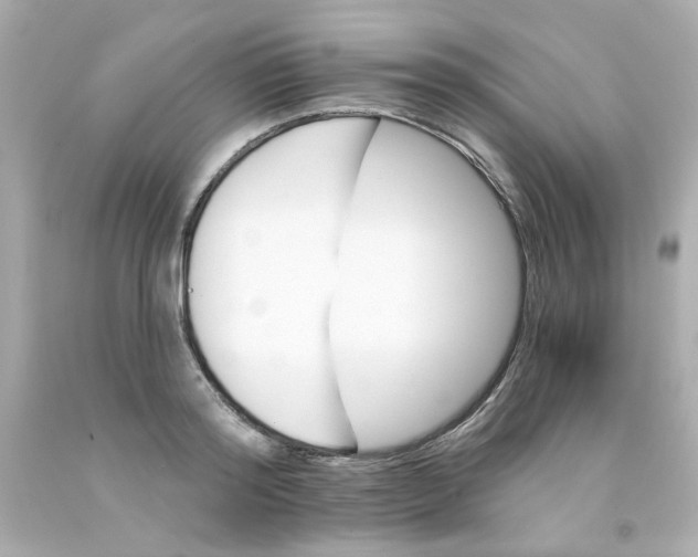X0000093130796200710241321