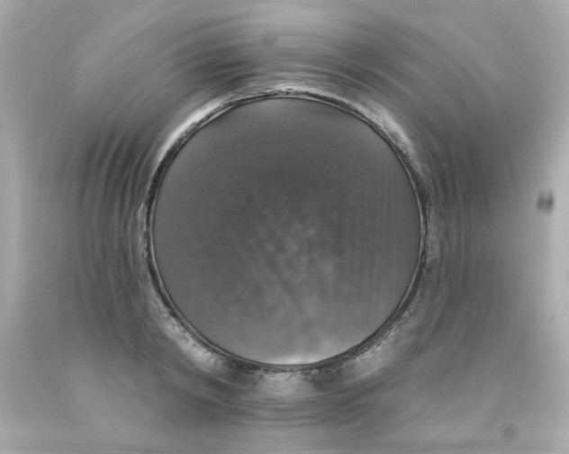 X0000093130798200710241321