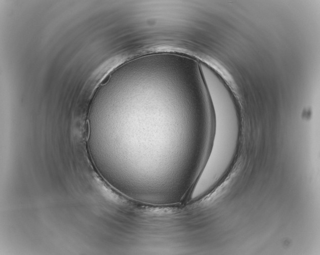 X0000093130801200710241321