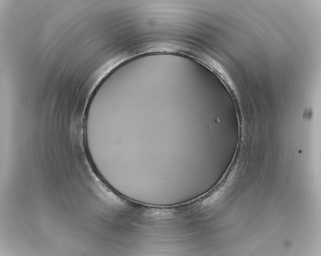 X0000093130802200710241321