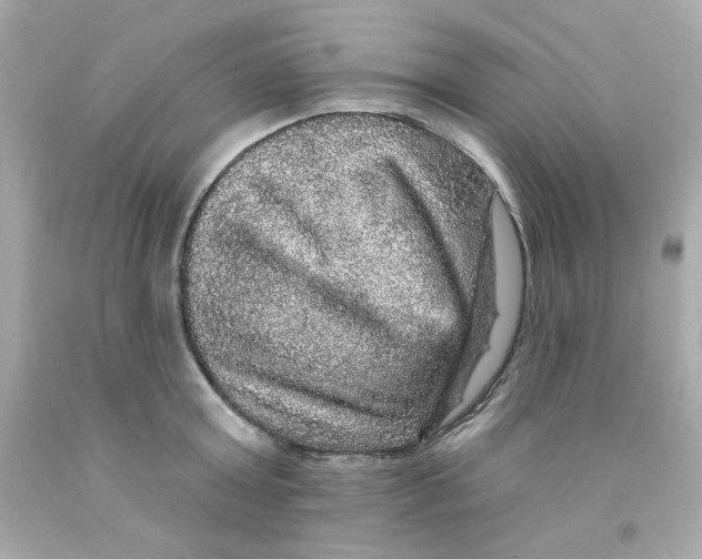 X0000093130803200710241321