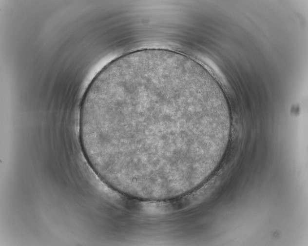 X0000093130804200710241321