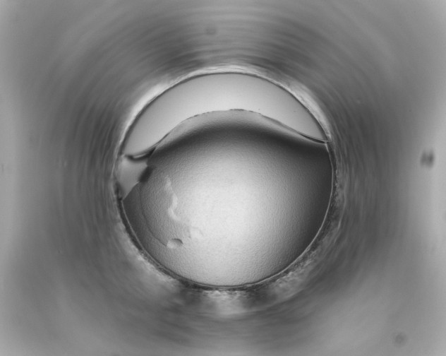 X0000093130805200710241321
