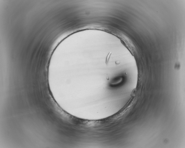 X0000093130808200710241321
