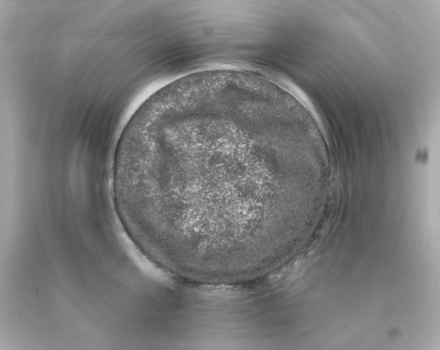 X0000093130811200710241321