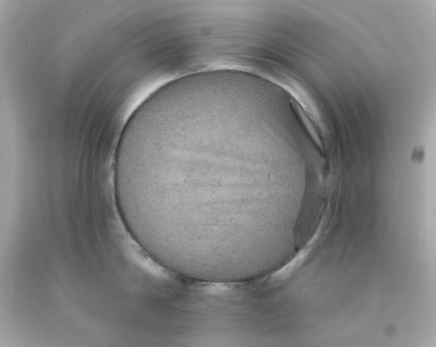 X0000093130814200710241321