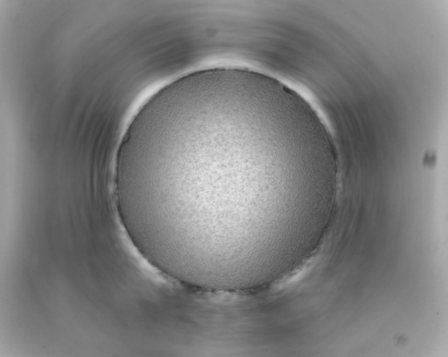 X0000093130815200710241321