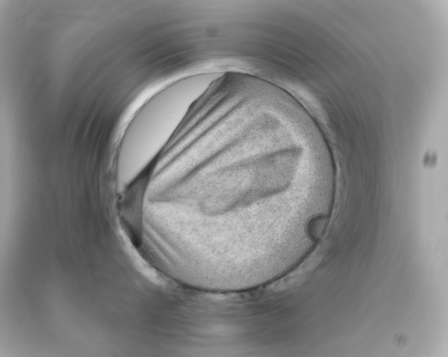 X0000093130816200710241321