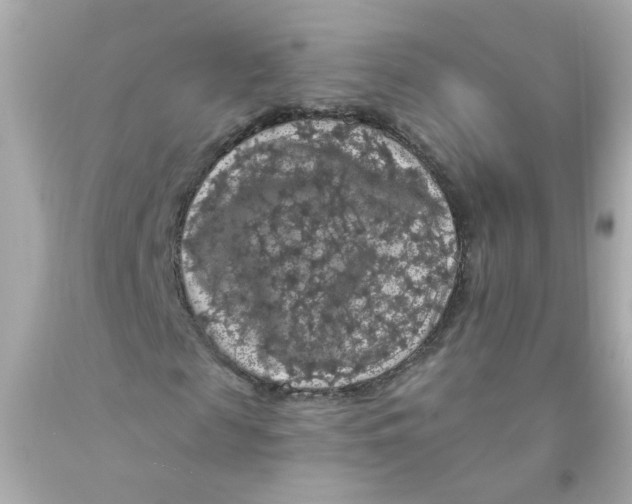 X0000093130817200710241321