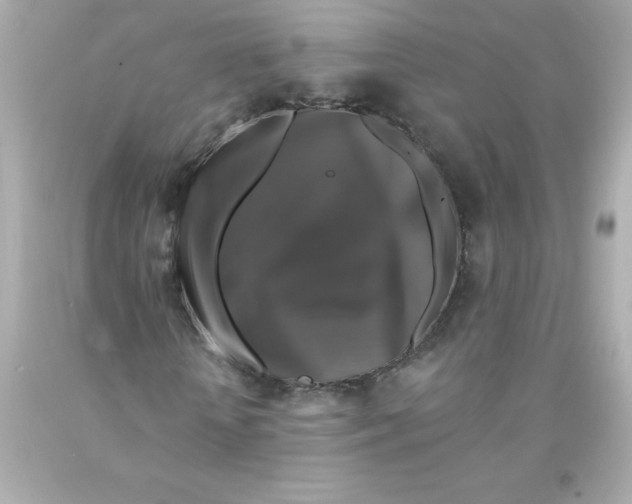 X0000093130818200710241321