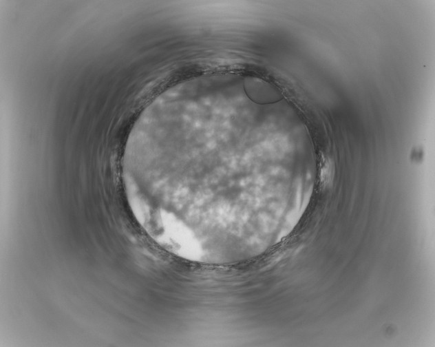 X0000093130819200710241321