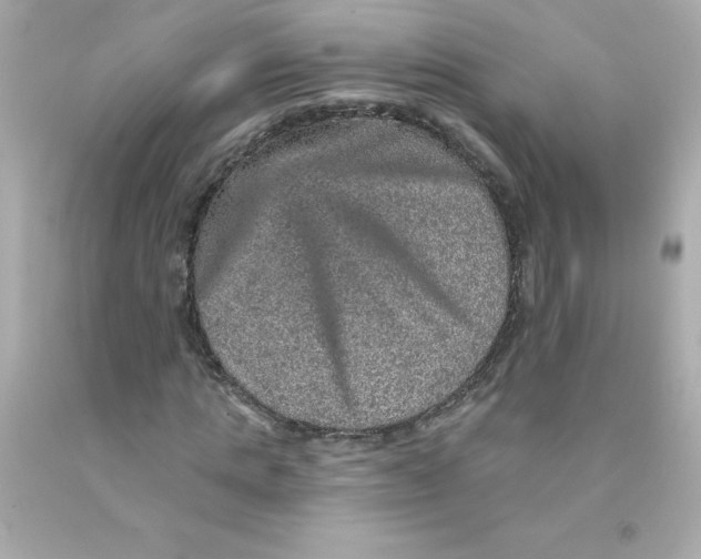 X0000093130821200710241321
