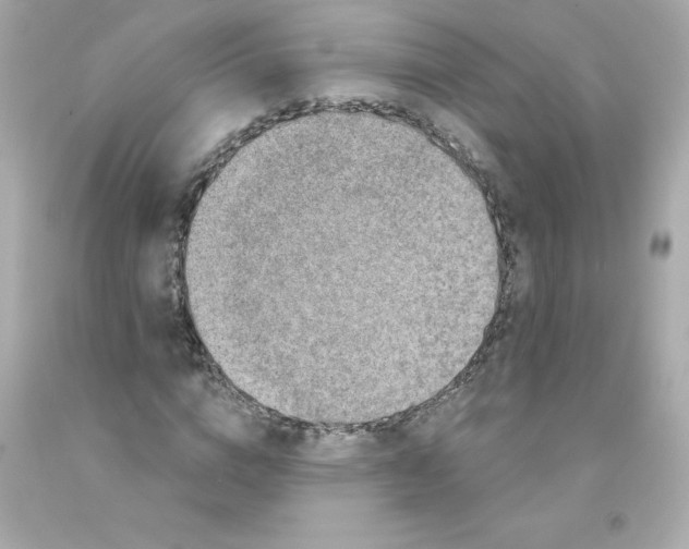 X0000093130824200710241321
