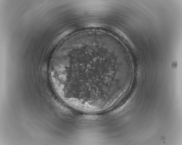X0000093130825200710241321