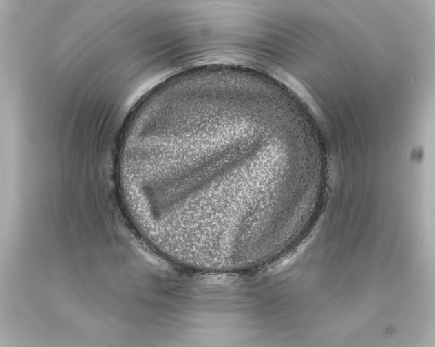 X0000093130826200710241321