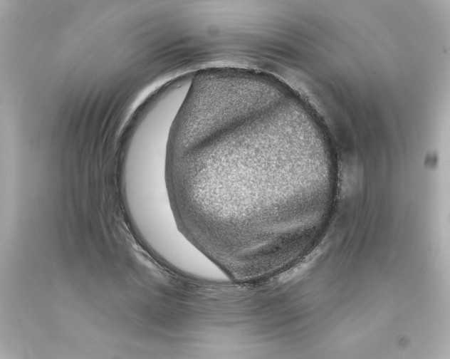 X0000093130830200710241321