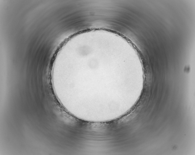 X0000093130832200710241321
