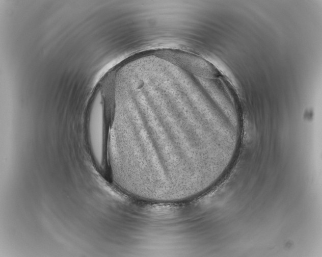 X0000093130834200710241321