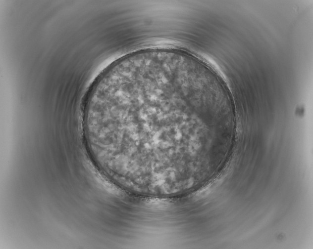 X0000093130835200710241321