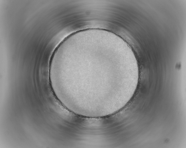 X0000093130836200710241321