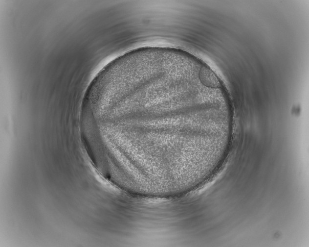 X0000093130837200710241321