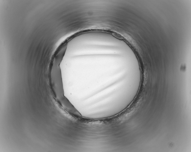 X0000093130838200710241321
