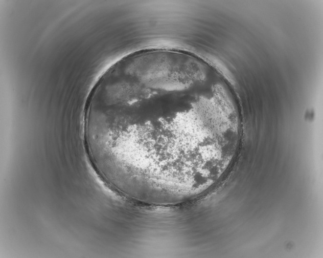 X0000093130839200710241321