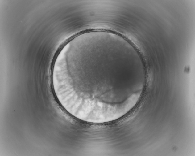 X0000093130840200710241321