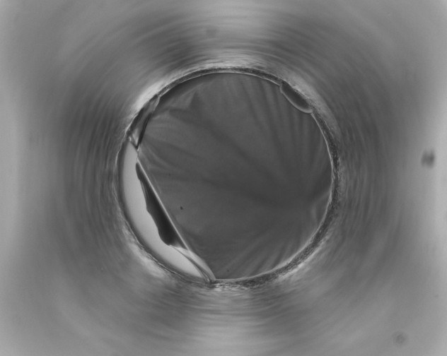 X0000093130842200710241321