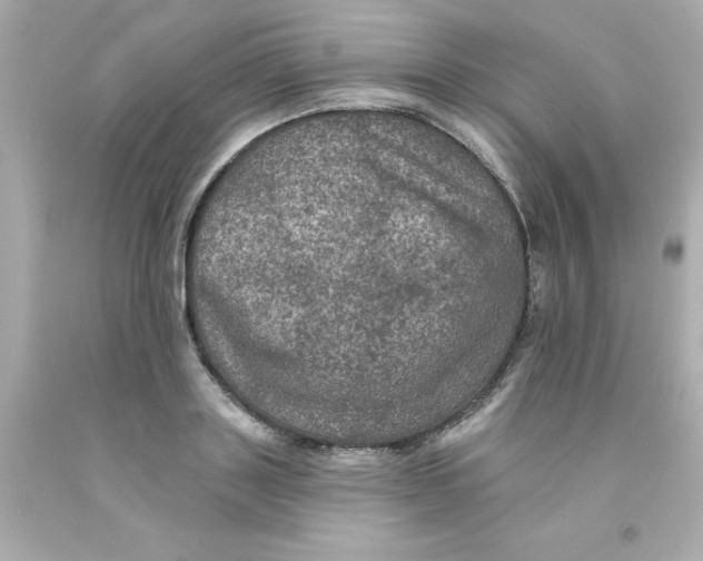 X0000093130843200710241321