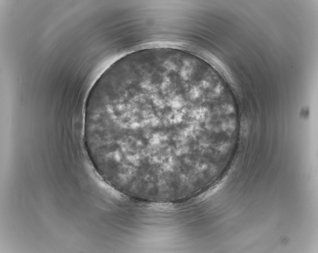 X0000093130844200710241321