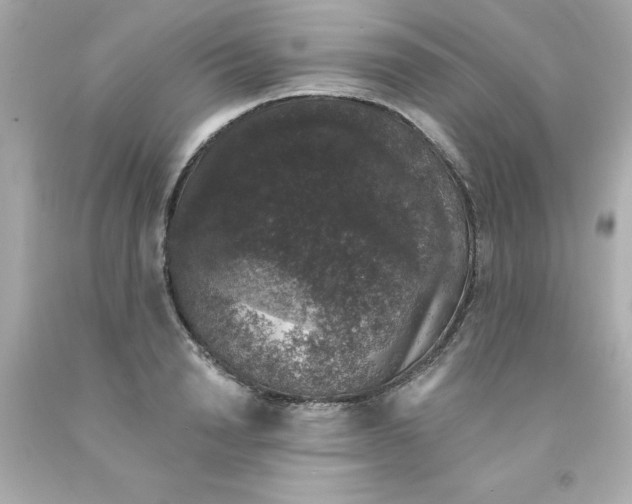 X0000093130846200710241321