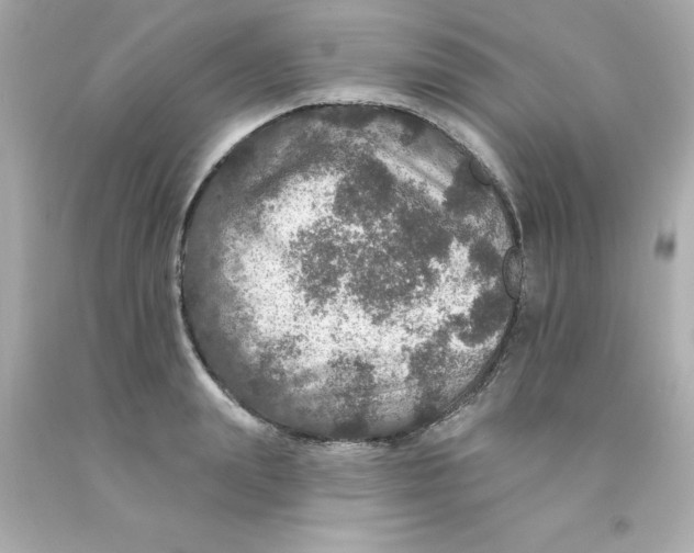 X0000093130847200710241321