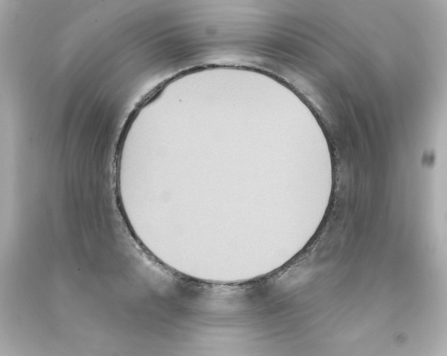 X0000093130848200710241321