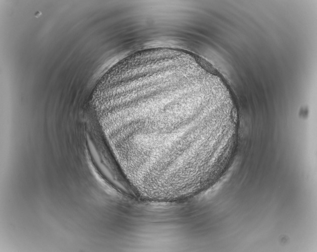 X0000093130849200710241321