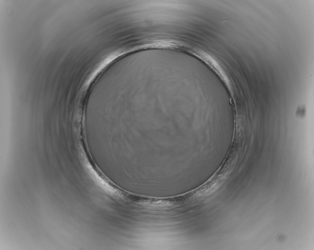 X0000093130851200710241321