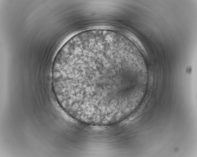 X0000093130852200710241321