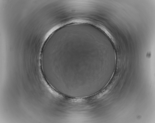 X0000093130853200710241321