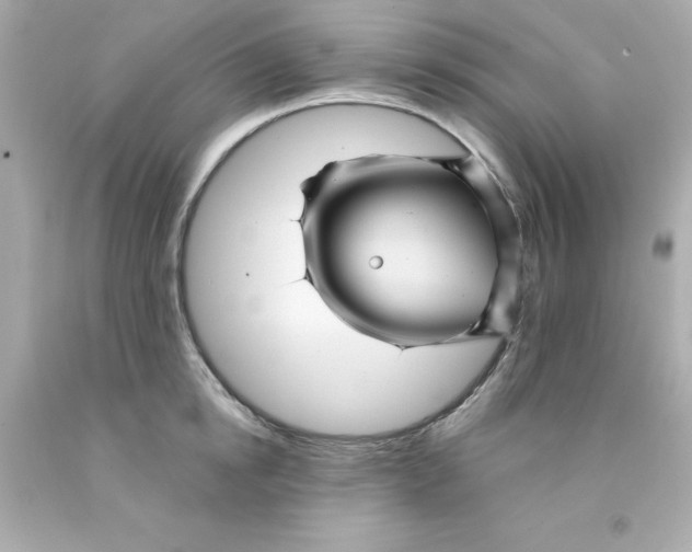X0000093130854200710241321