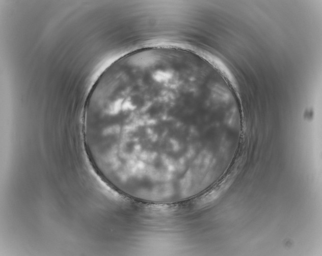 X0000093130855200710241321