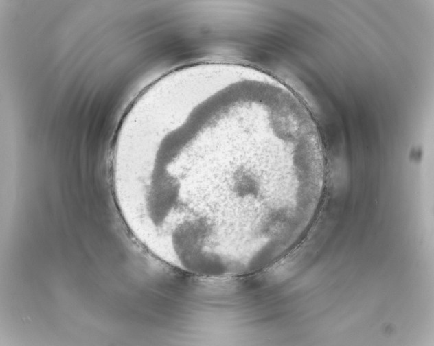 X0000093130856200710241321