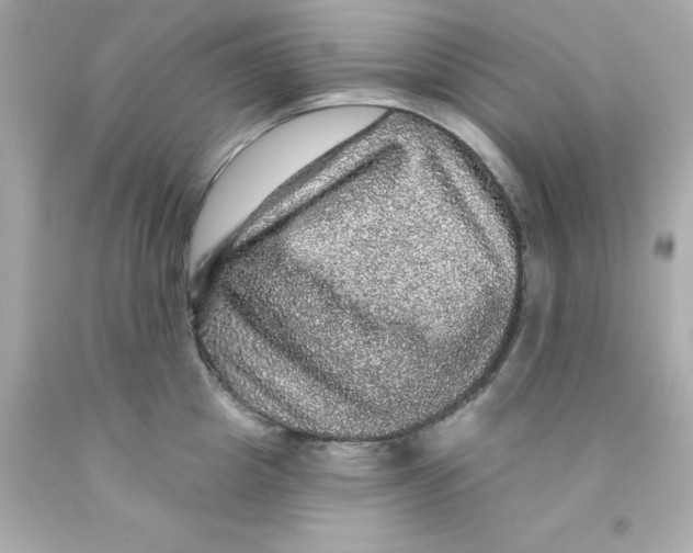X0000093130857200710241321