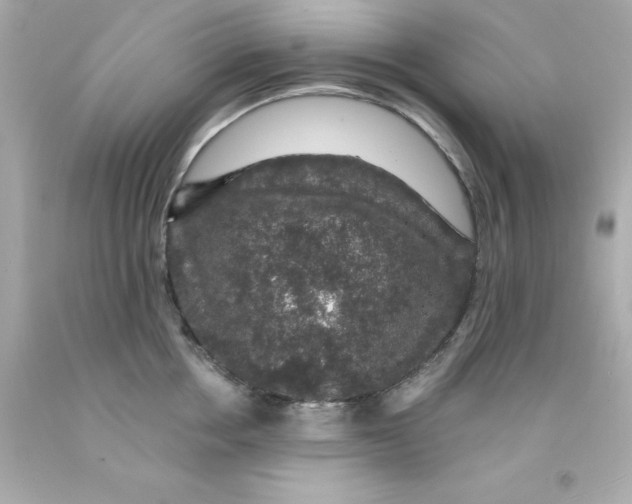 X0000093130858200710241321