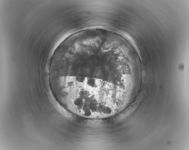 X0000093130859200710241321