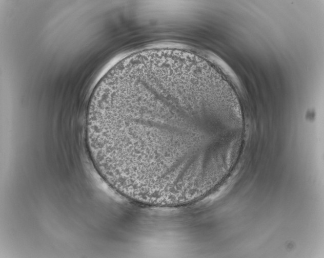 X0000093130860200710241321
