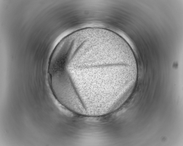X0000093130861200710241321