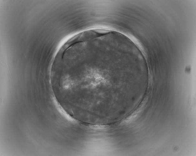 X0000093130862200710241321